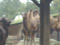 IMGP1215.JPG